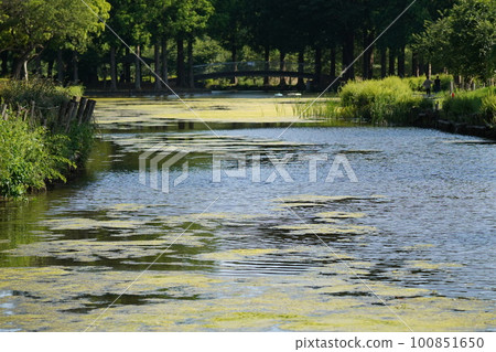 Summer river 100851650