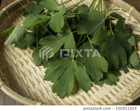 沖繩傳統蔬菜 Chomeisou sakuna 沖繩傳統蔬菜 Chomeisou sakuna 100851924