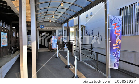 蝦蟹水族館(和歌山縣週佐見町) 蝦蟹水族館(和歌山縣週佐見町) 100851927