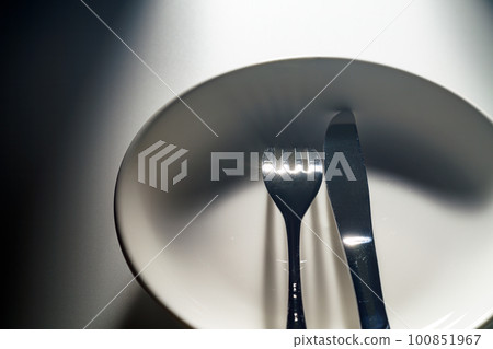 fork and knife on plate 100851967