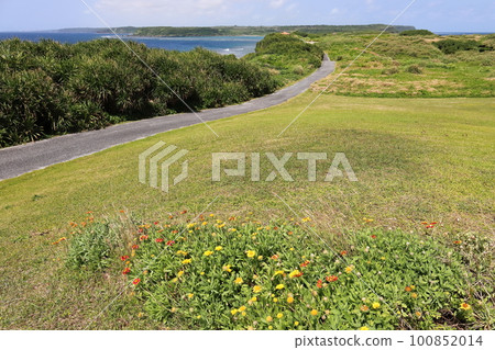 Okinawa Miyakojima Higashi Heian Nagasaki 100852014