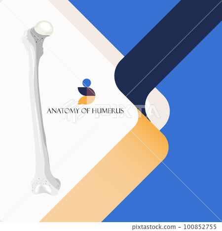 infographic, medical, vector 100852755