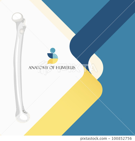 infographic, medical, vector 100852756