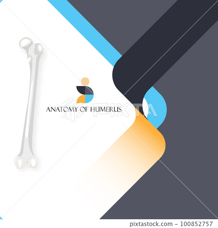 infographic, medical, vector 100852757