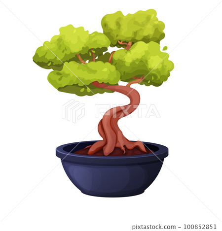 Bonsai tree with twisted trunk, foliage in... - Stock Illustration  [100852851] - PIXTA