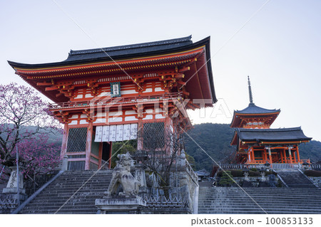 清水寺的仁王門和西門 清水寺的仁王門和西門 100853133