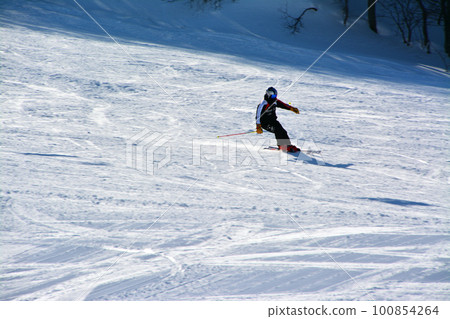 北海道耀眼的銀色斜坡 100854264