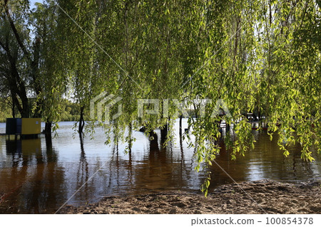 The consequences of flooding in the park, summer nature The consequences of flooding in the park, summer nature 100854378