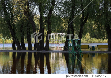 The consequences of flooding in the park, summer nature The consequences of flooding in the park, summer nature 100854379