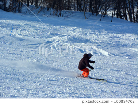 Hokkaido's dazzling silvery slopes Hokkaido's dazzling silvery slopes 100854702