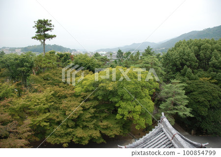 從三門(南禪寺/京都市左京區)上眺望 從三門(南禪寺/京都市左京區)上眺望 100854799