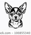 Chihuahua simple illustration 100855340