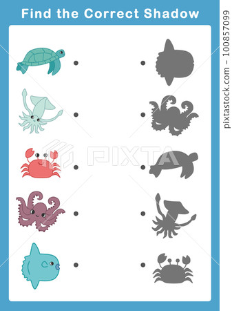 sea animal shadow game sea animal shadow game 100857099