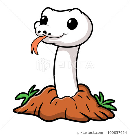 Cute white leucistic ball python snake cartoon out from hole Cute white leucistic ball python snake cartoon out from hole 100857634