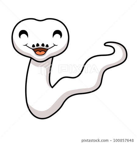 Cute white leucistic ball python snake cartoon Cute white leucistic ball python snake cartoon 100857648