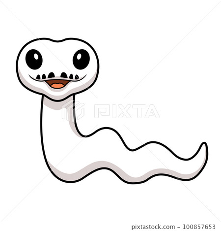 Cute white leucistic ball python snake cartoon 100857653