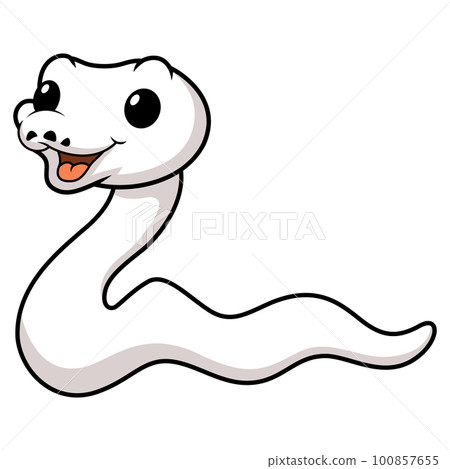 Cute white leucistic ball python snake cartoon 100857655