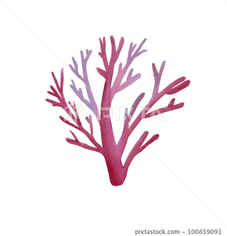 Pink underwater coral isolated on white background. Watercolor illustration of marine plants. Tree-like coral. Cartoon style. Suitable for postcards, design, posters, packaging, clothing. 100859091