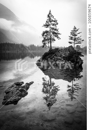 Trees on a rock island in BW - Lake Hintersee, Bavaria, Germany Trees on a rock island in BW - Lake Hintersee, Bavaria, Germany 100859674
