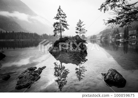 Trees on a rock island in BW - Lake Hintersee, Bavaria, Germany 100859675
