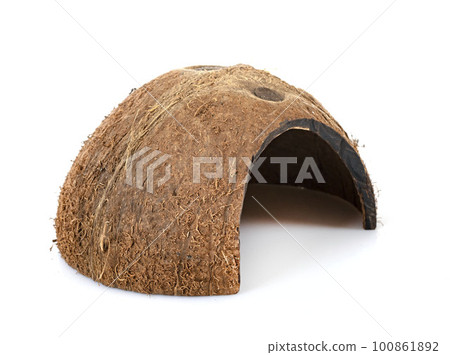 coconut shelter in studio coconut shelter in studio 100861892