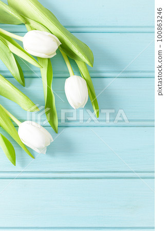 Easter background with white tulips Easter background with white tulips 100863246