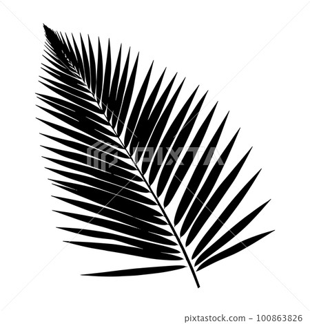 Palm Leaf Silhouette. Vector Illustration Palm Leaf Silhouette. Vector Illustration 100863826