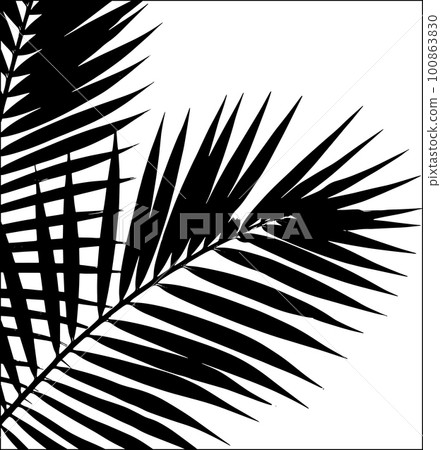 Palm Leaf Silhouette. Vector Illustration Palm Leaf Silhouette. Vector Illustration 100863830