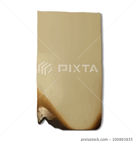 Element burnt paper on an isolated background 100863835
