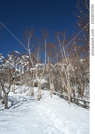 栃木縣春季余雪季的那須山山路風景 栃木縣春季余雪季的那須山山路風景 100865090