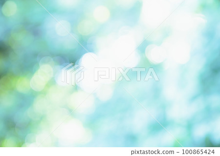 清新綠色,背景,綠色,樹葉,自然,風景,模糊,植物,陽光透過樹葉過濾,清新綠色圖片,背景合成圖片素材 100865424