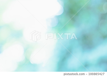 Fresh green, background, green, leaf, nature, landscape, blur, plant, sunlight filtering through foliage, fresh green image, image material for background synthesis 100865427