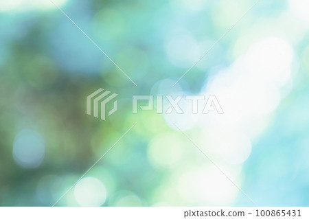 Fresh green, background, green, leaf, nature, landscape, blur, plant, sunlight filtering through foliage, fresh green image, image material for background synthesis Fresh green, background, green, leaf, nature, landscape, blur, plant, sunlight filtering through foliage, fresh green image, image material for background synthesis 100865431