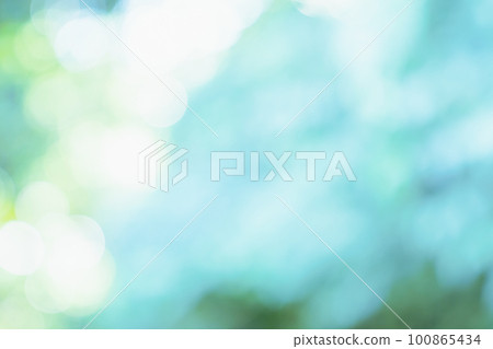 Fresh green, background, green, leaf, nature, landscape, blur, plant, sunlight filtering through foliage, fresh green image, image material for background synthesis Fresh green, background, green, leaf, nature, landscape, blur, plant, sunlight filtering through foliage, fresh green image, image material for background synthesis 100865434