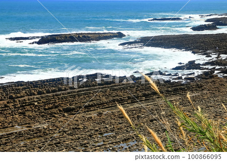 [Miyazaki Prefecture] Washboard (Demon's Washboard) on the Nichinan Coast seen from the roadside station Phoenix Observatory 100866095