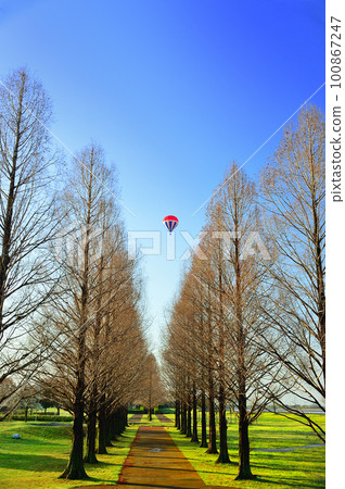 early spring balloon early spring balloon 100867247