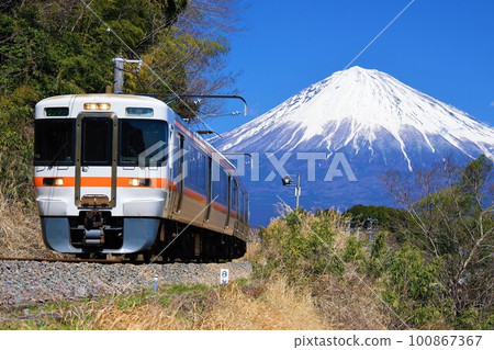 [JR Tokai] Series 313 and Mt.Fuji (Minobu Line: Nishifujinomiya - Numakubo) 100867367