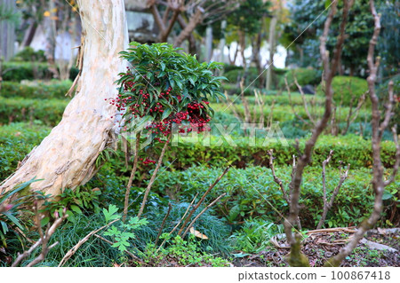 Many facts Many facts 100867418