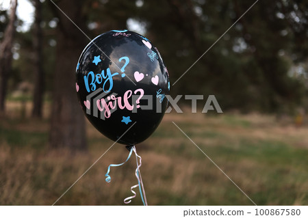 Celebration gender Party on nature. Black baloon with the inscription Boy and Girl moving in the air. Expectant parents are having a gender reveal party. Expecting baby. Baby shower Celebration gender Party on nature. Black baloon with the inscription Boy and Girl moving in the air. Expectant parents are having a gender reveal party. Expecting baby. Baby shower 100867580