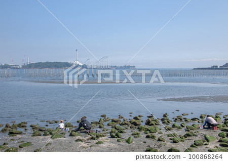 Kanazawa Ward, Yokohama City, Kanagawa Prefecture Nojima Beach People enjoying clam digging Kanazawa Ward, Yokohama City, Kanagawa Prefecture Nojima Beach People enjoying clam digging 100868264