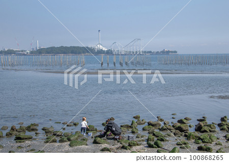 Kanazawa Ward, Yokohama City, Kanagawa Prefecture Nojima Beach People enjoying clam digging Kanazawa Ward, Yokohama City, Kanagawa Prefecture Nojima Beach People enjoying clam digging 100868265