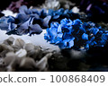 Hydrangea floating in water 100868409