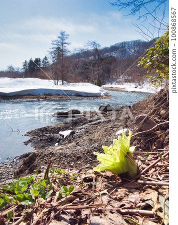 River of Thaw and Butterbur 100868567