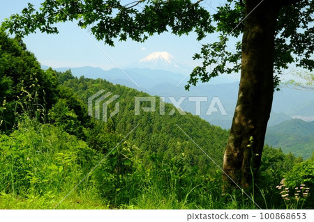 View of Mt. Fuji from the fresh green Jinba Kaido [Tsukui, Sagamihara City, May] 100868653
