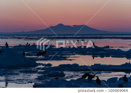 Ice floe of Shiretoko Ice floe of Shiretoko 100869064