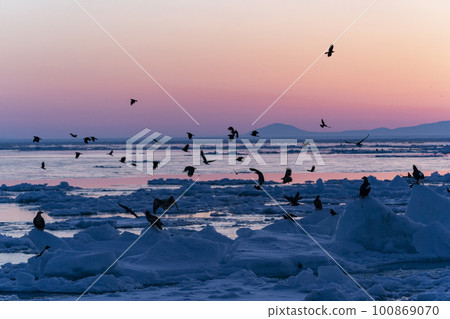 Ice floe of Shiretoko Ice floe of Shiretoko 100869070