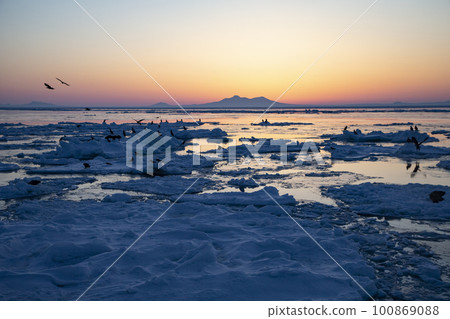 Ice floe of Shiretoko 100869088