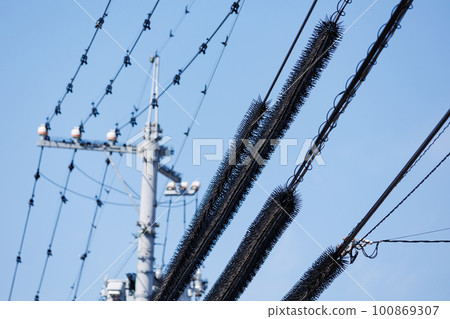 Birdscratchet of electric wire 100869307