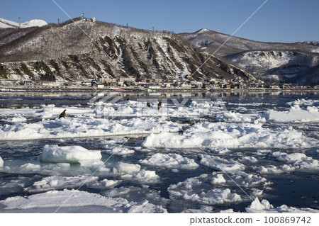 漂流冰和一隻老鷹 漂流冰和一隻老鷹 100869742