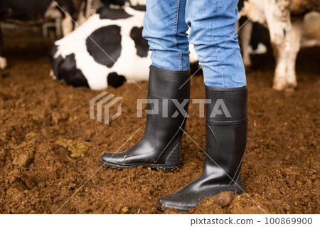 Close up of black rubber boots 100869900